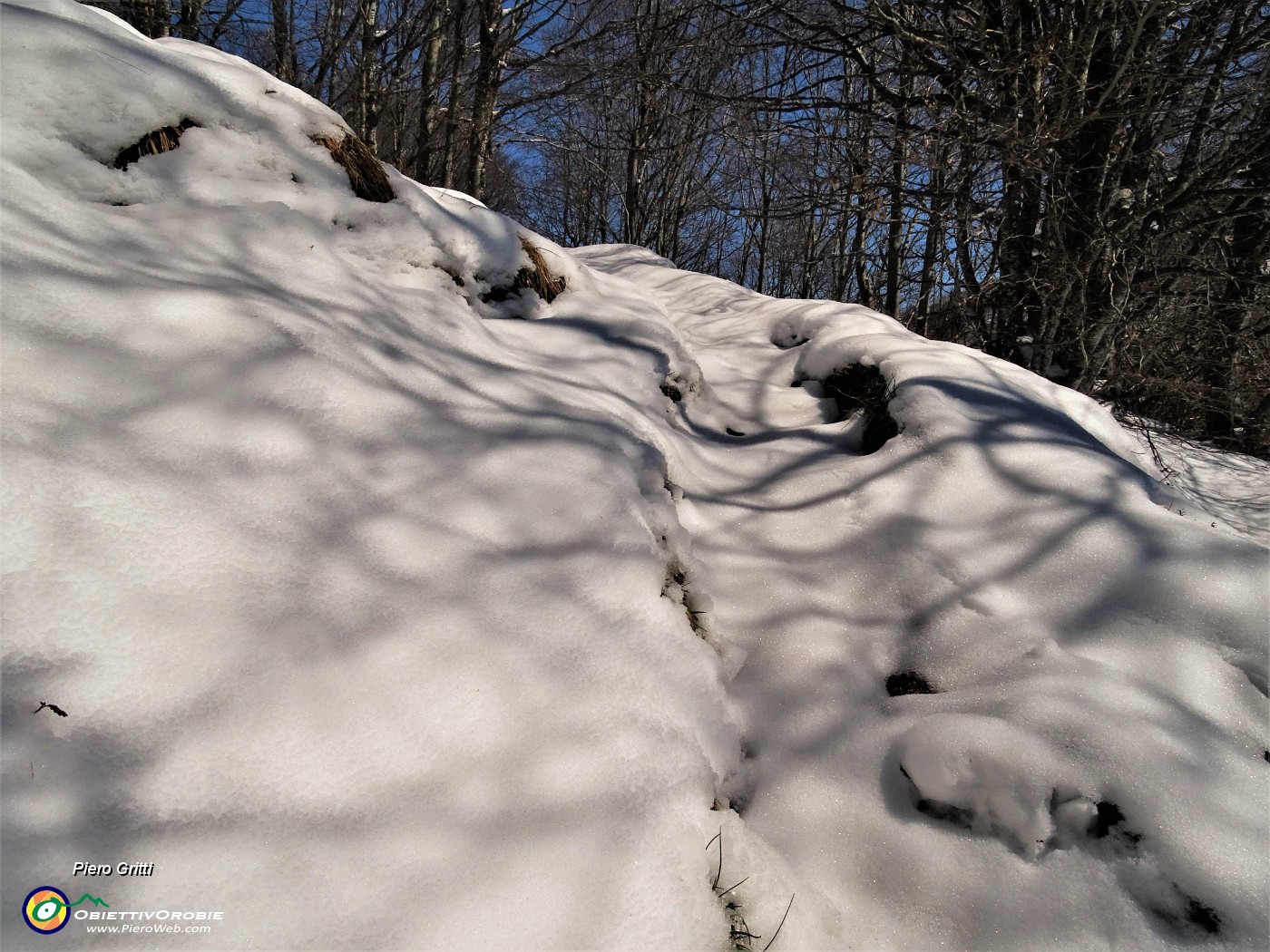 30 Qui sono il primo a pestar neve.JPG